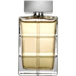 HUGO BOSS ORANGE FOR MEN 100ML EDT